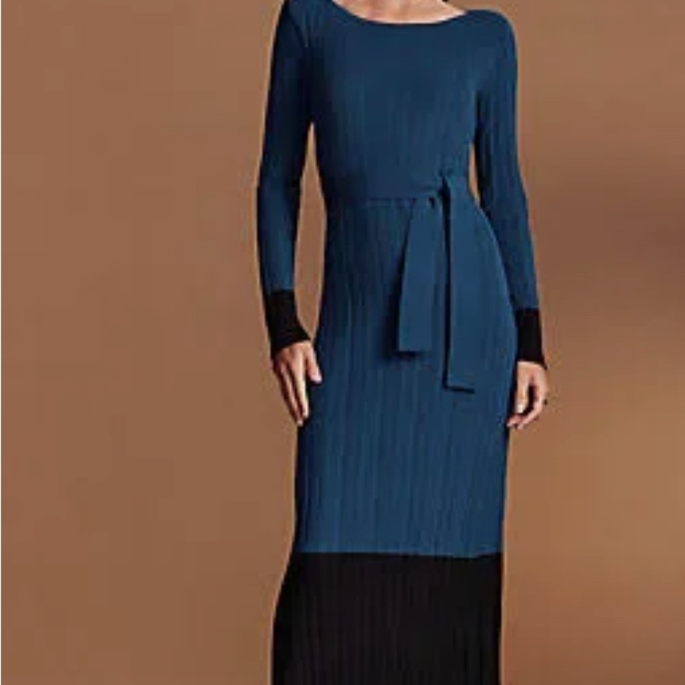 Ann Taylor Teal and Black Long Sleeve Dress